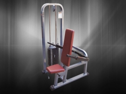 MAQUINA PARA TRICEPS, PARALELA Y TRAPECIO