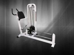 MAQUINA PARA GLUTEOS PATADA LINEAL